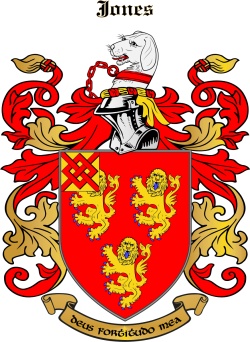 JOHNS family crest