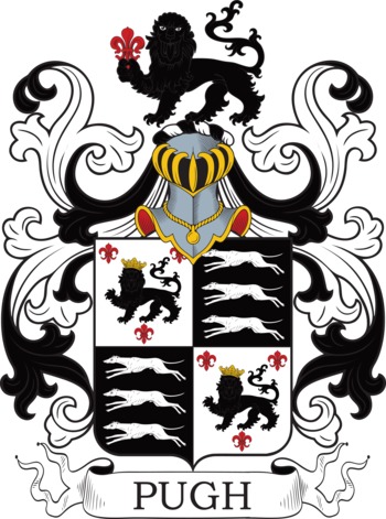 Puw family crest